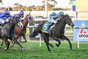 SACRED FALLS MARE STRIKES AGAIN